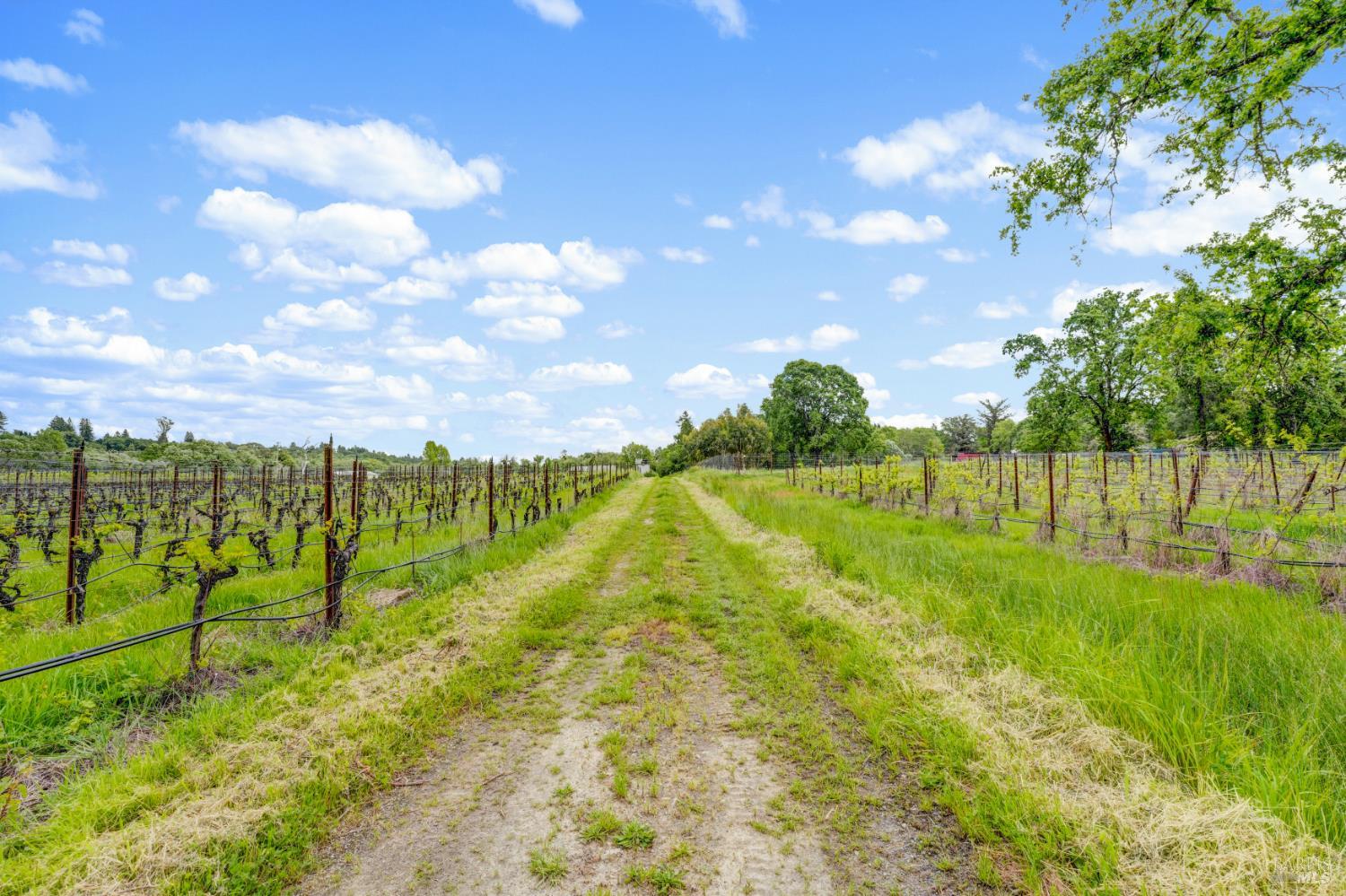 9700 Mill Station Road Sebastopol CA 95472