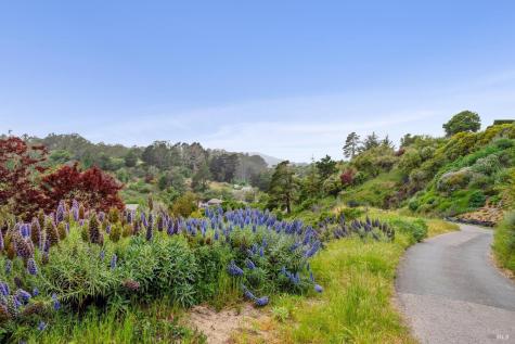 0 Cliff Road Bolinas CA 94924