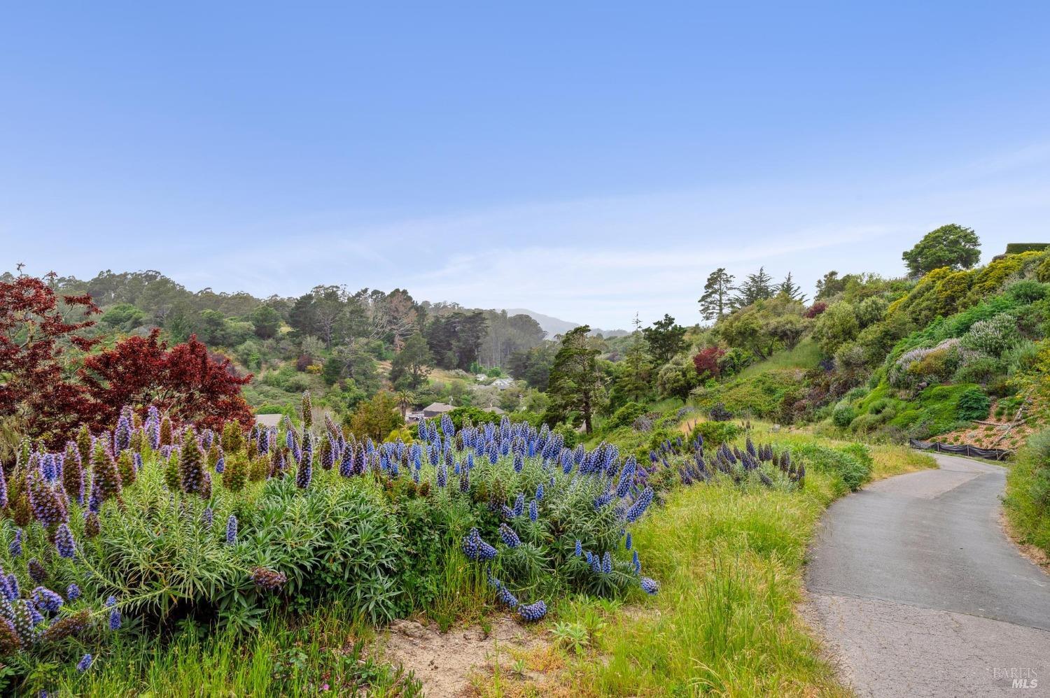 0 Cliff Road Bolinas CA 94924