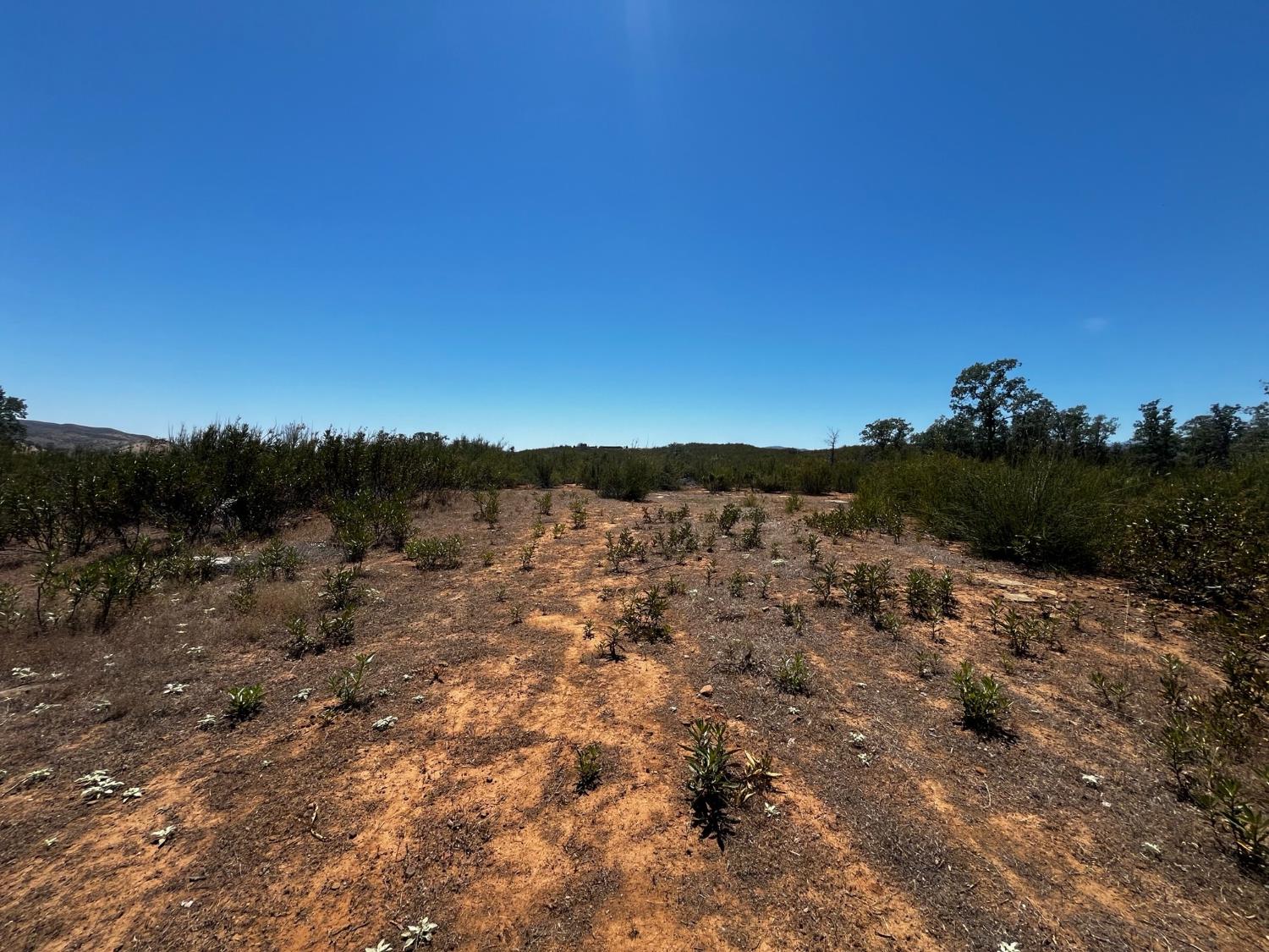 4261 Sites Lodoga Road Stonyford CA 95979