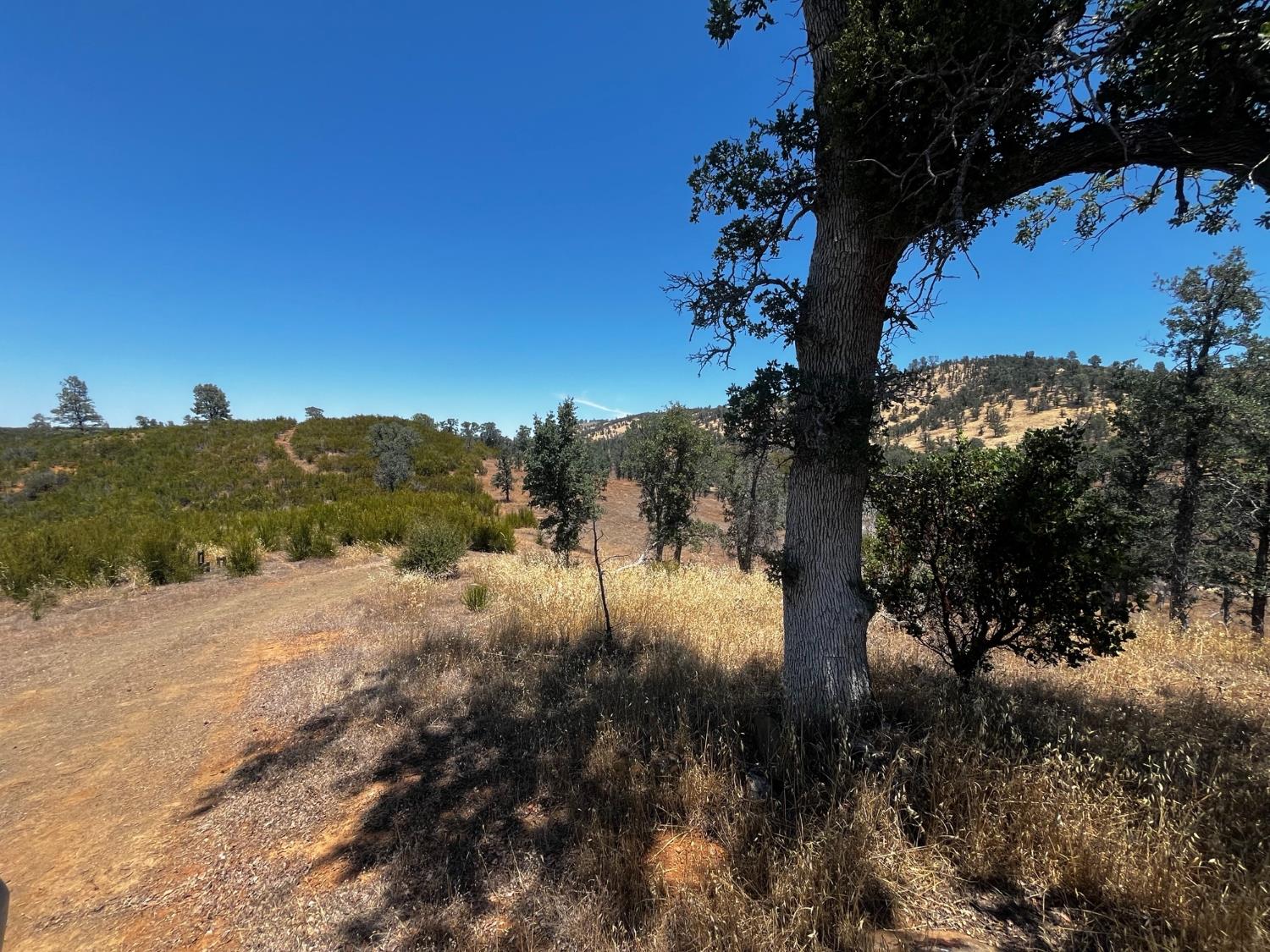 4261 Sites Lodoga Road Stonyford CA 95979