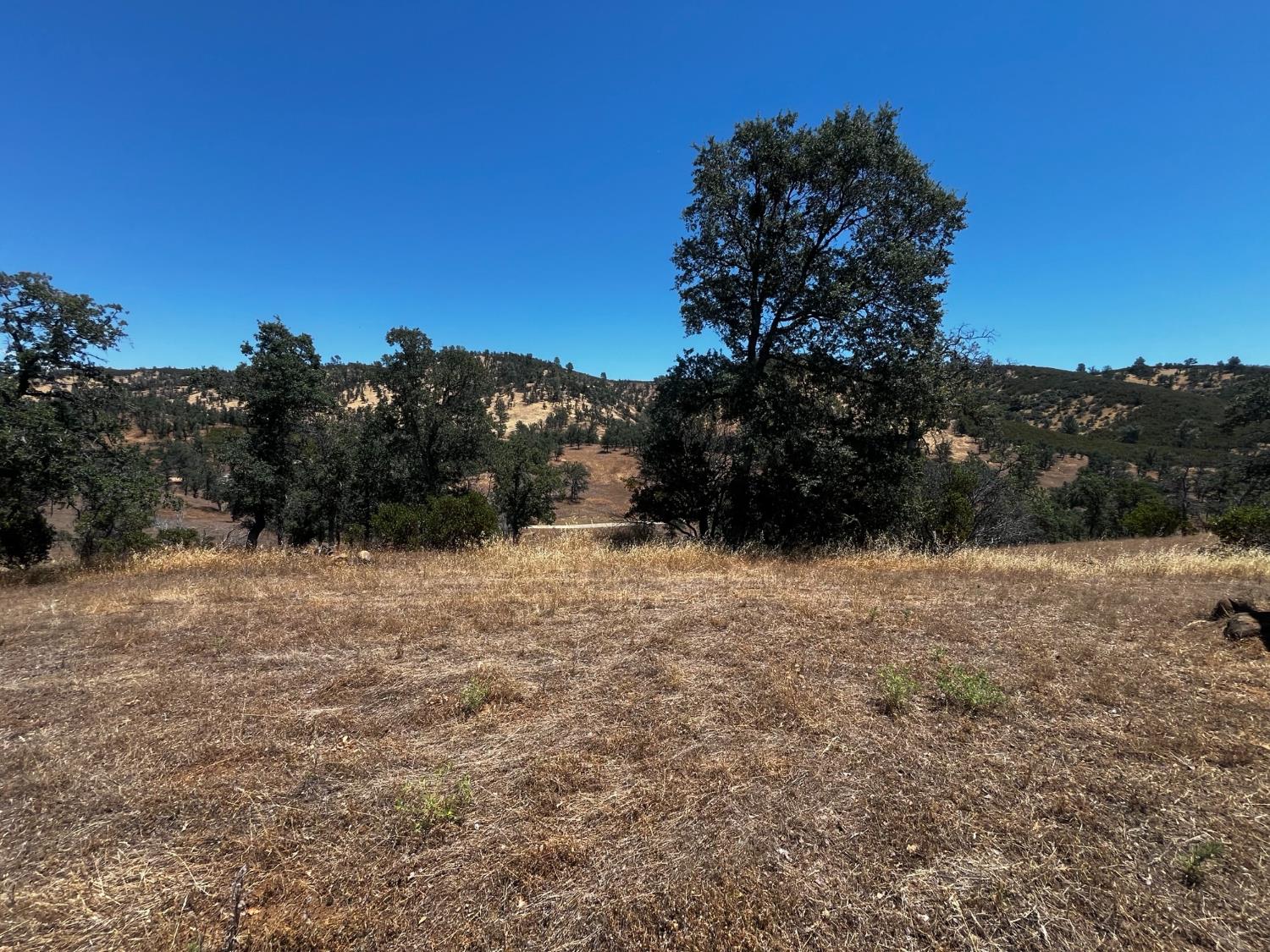 4261 Sites Lodoga Road Stonyford CA 95979
