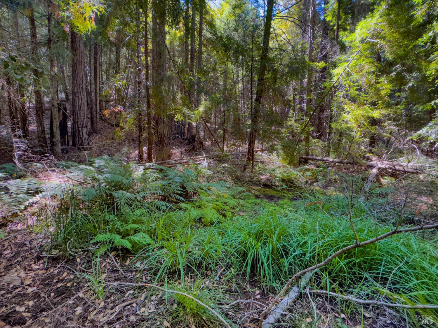 3700 Redwood Creek Road Willits CA 95490