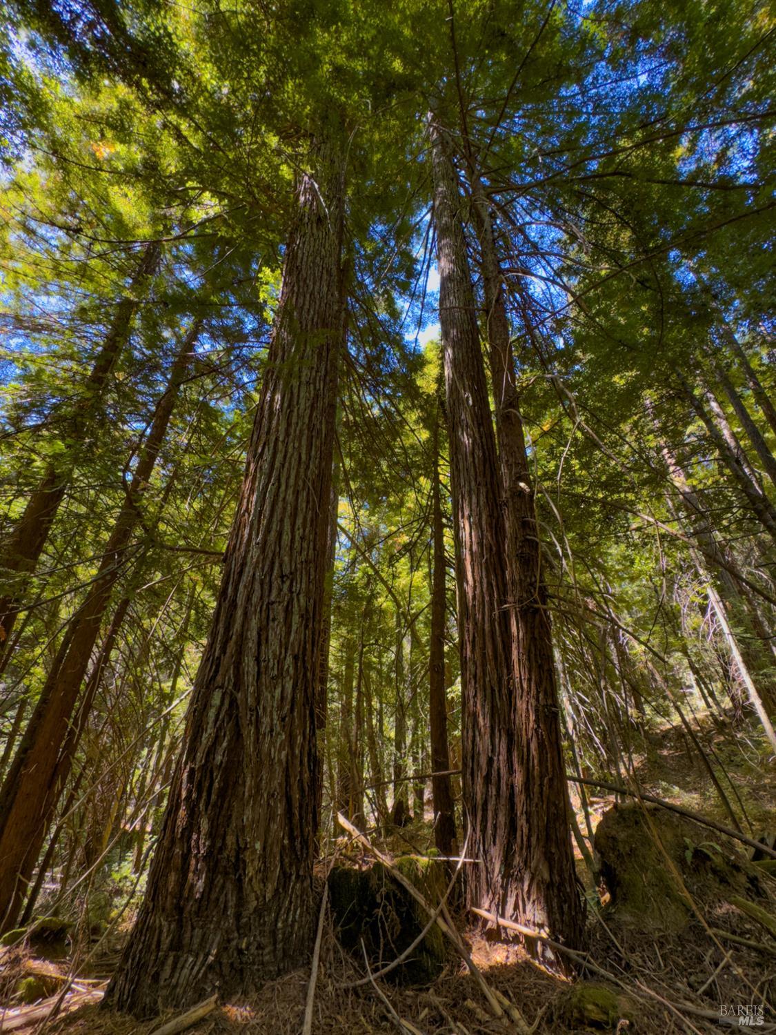 3700 Redwood Creek Road Willits CA 95490