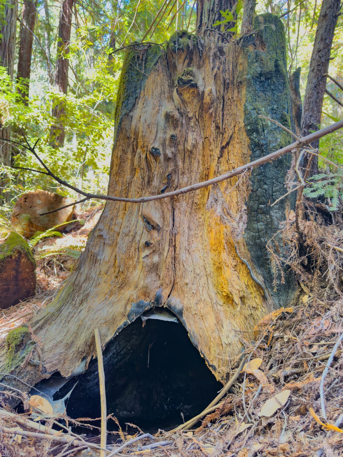 3700 Redwood Creek Road Willits CA 95490