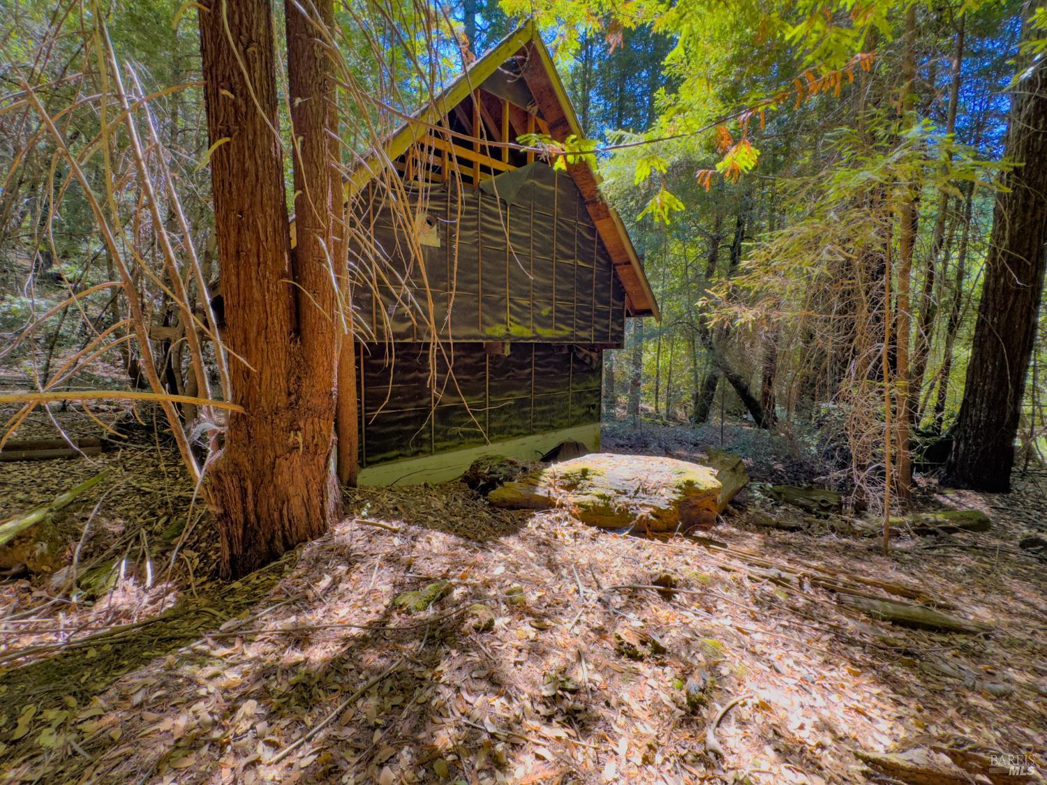 3700 Redwood Creek Road Willits CA 95490