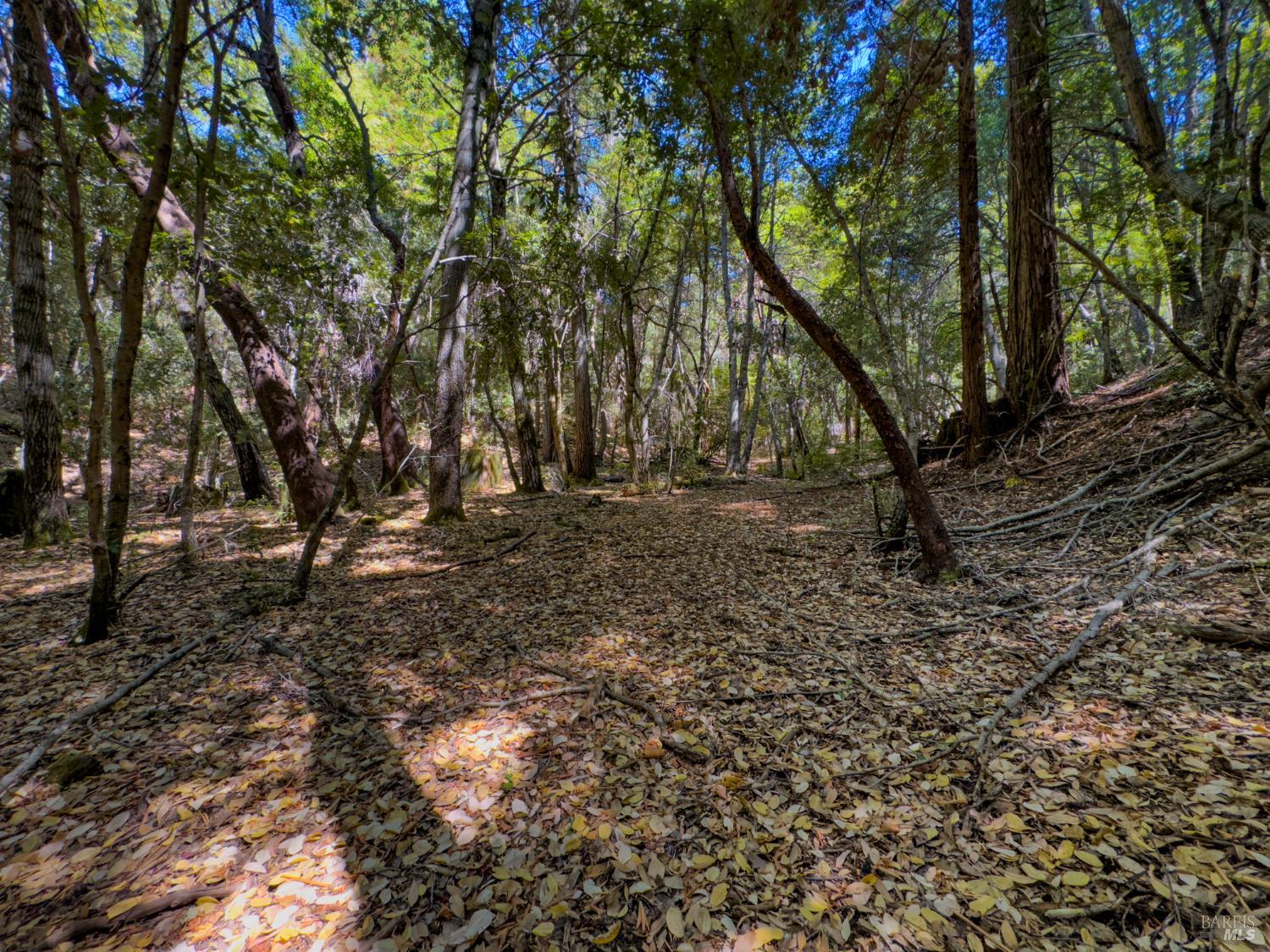 3700 Redwood Creek Road Willits CA 95490
