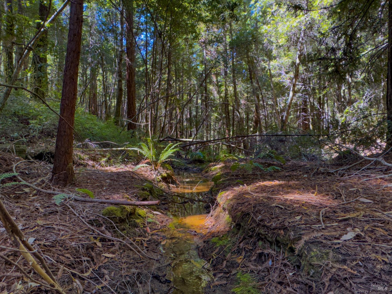 3700 Redwood Creek Road Willits CA 95490