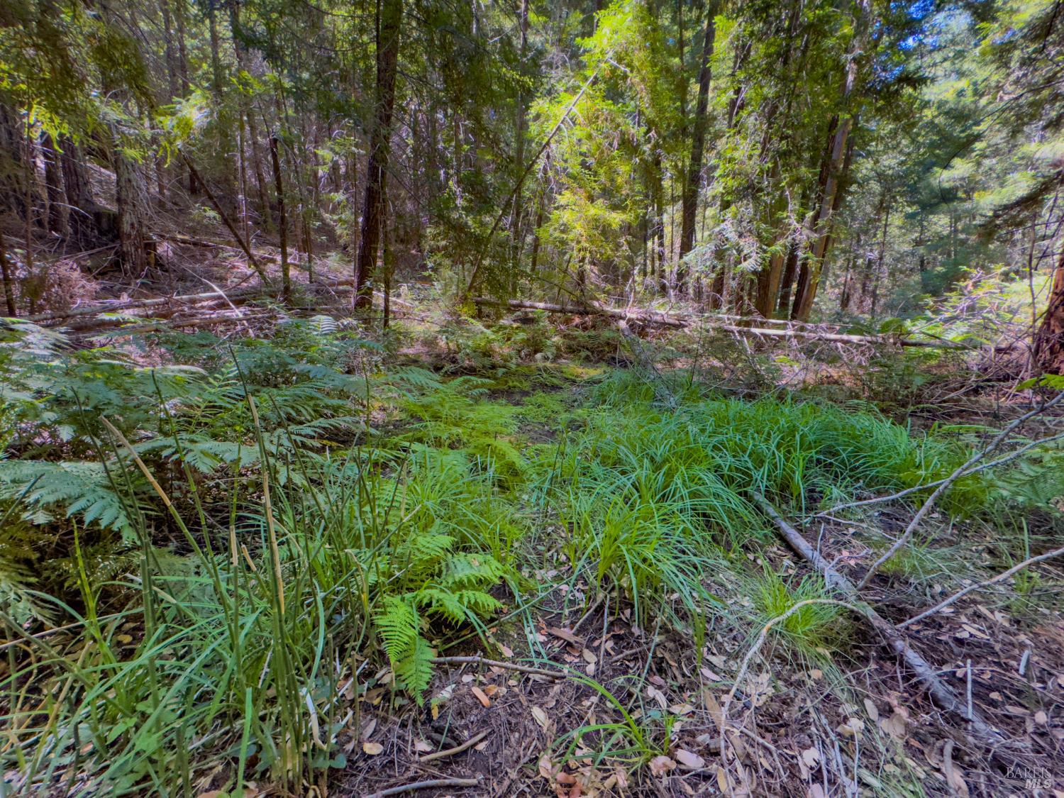 3700 Redwood Creek Road Willits CA 95490