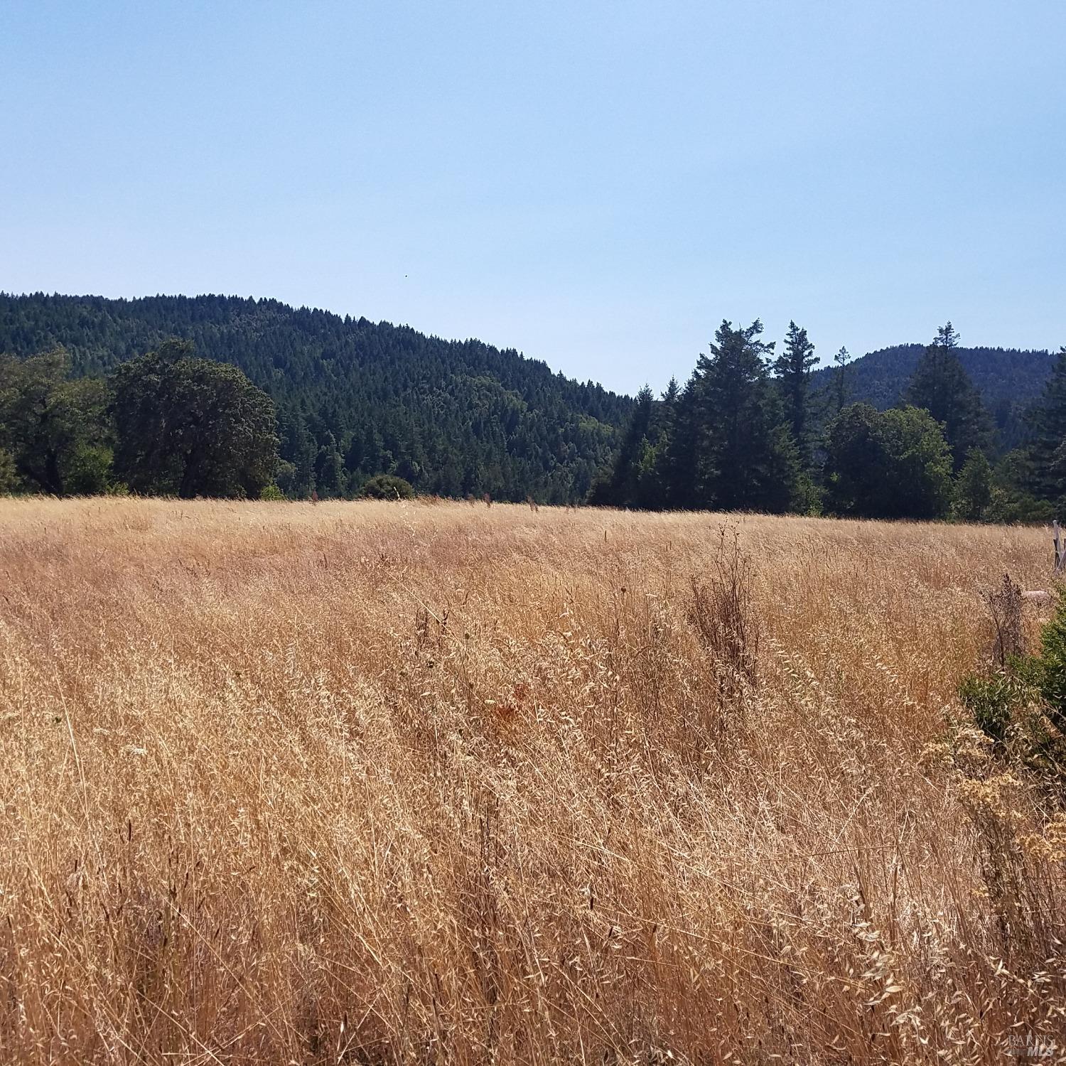 80090 Road 442b Road Piercy CA 95776