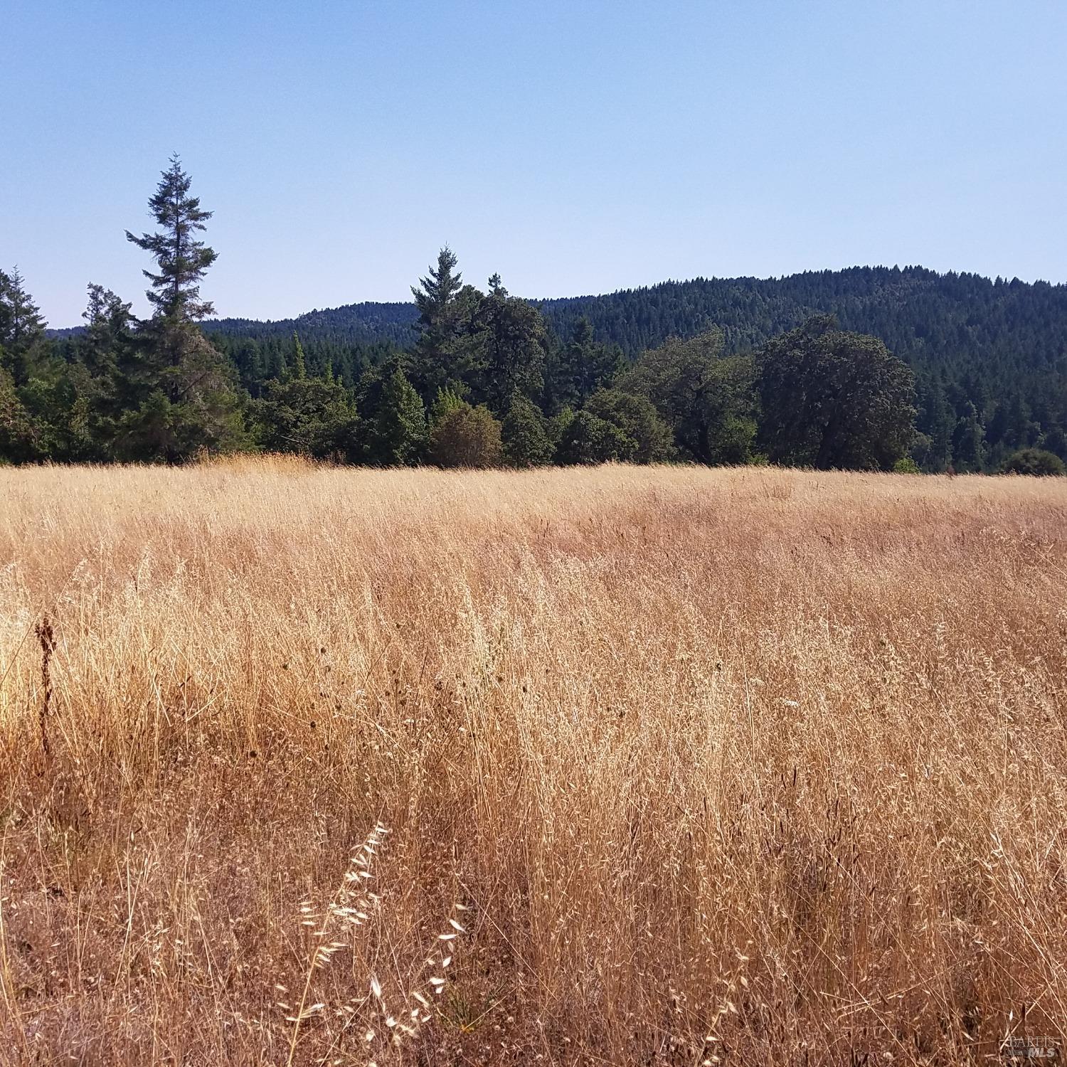 80090 Road 442b Road Piercy CA 95776