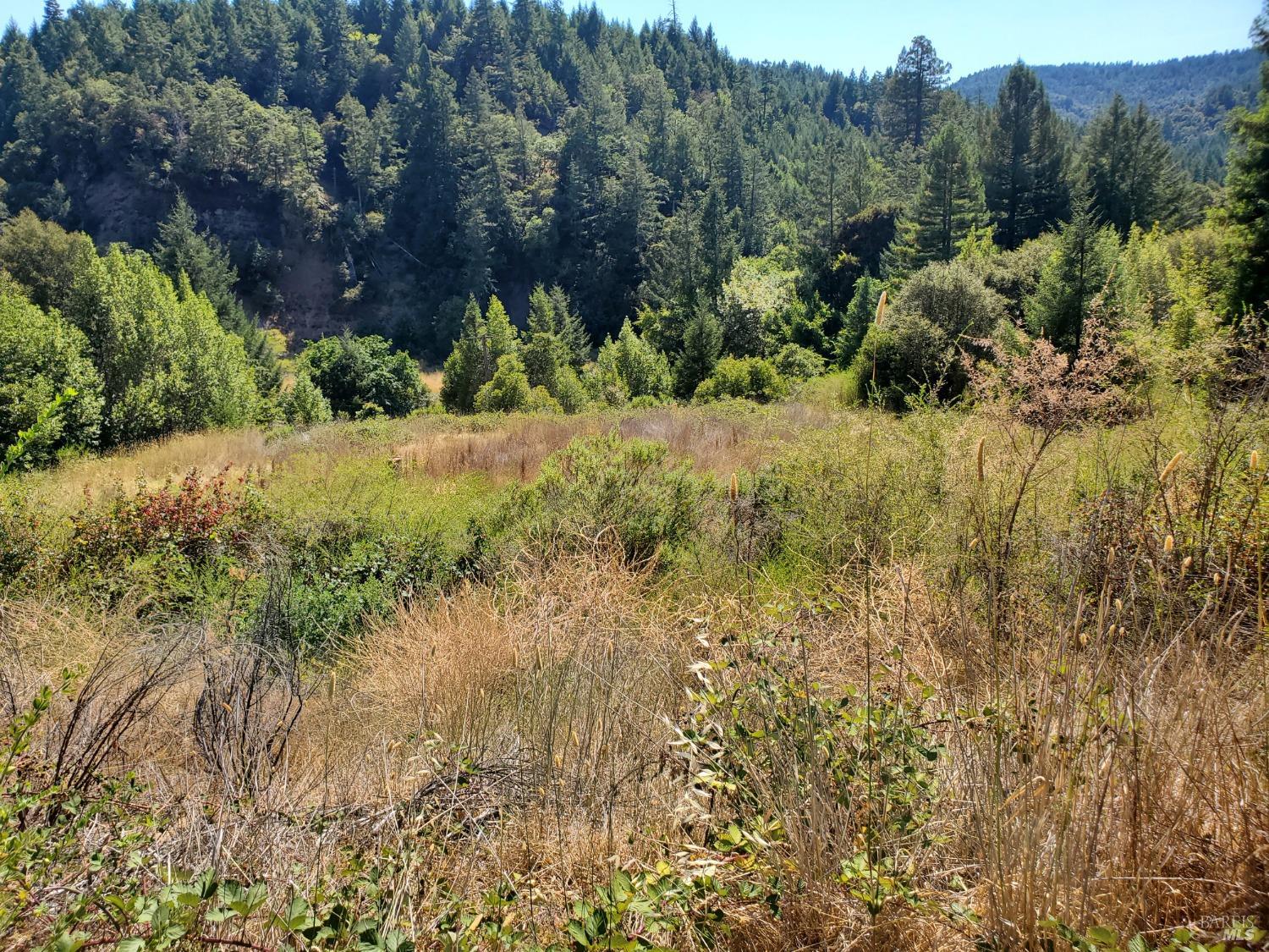 80090 Road 442b Road Piercy CA 95776