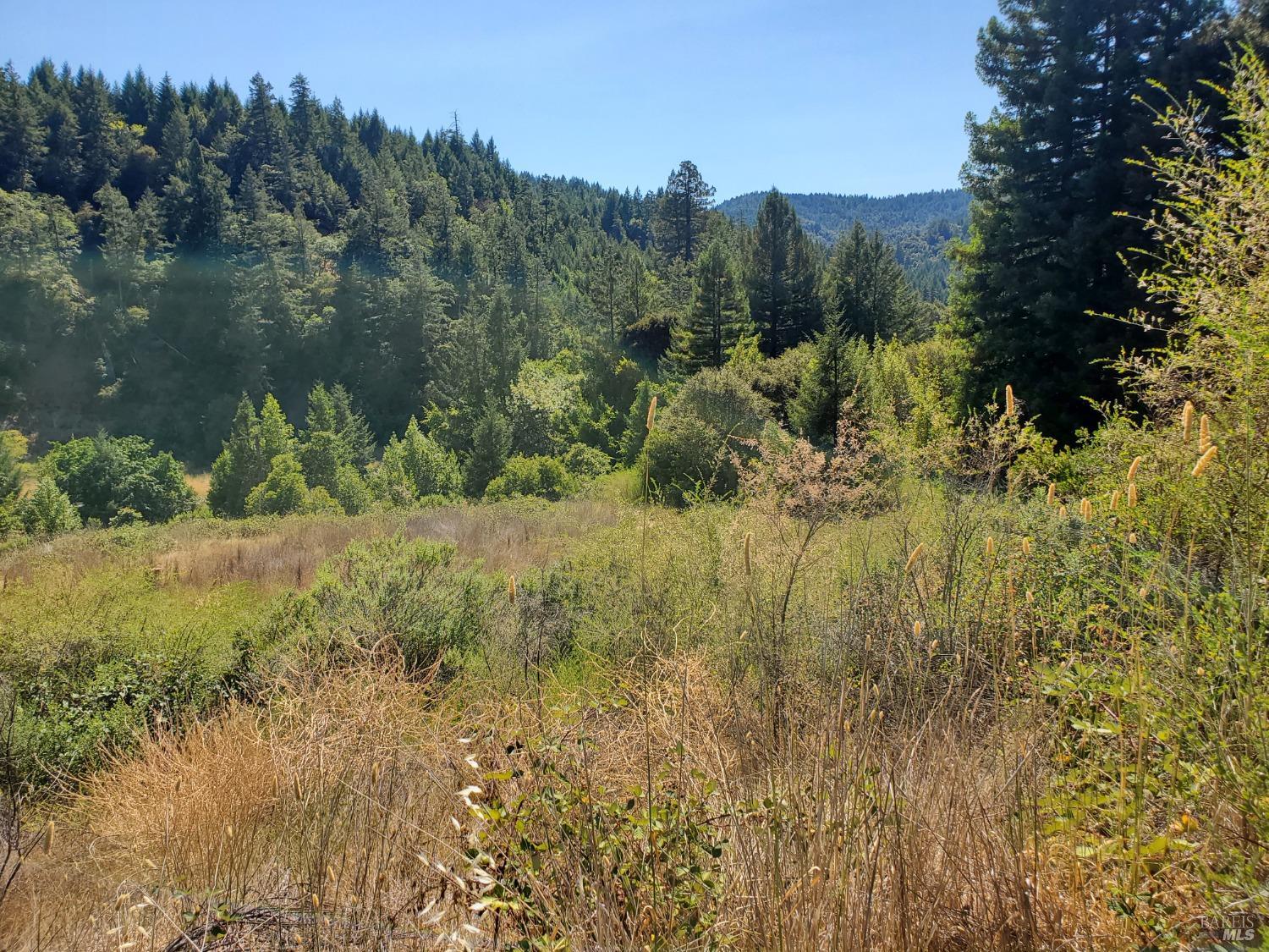 80090 Road 442b Road Piercy CA 95776