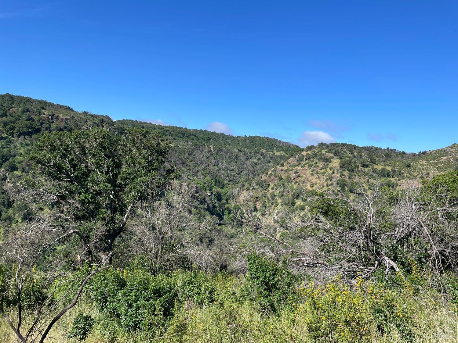 0 Green Valley Lane Green Valley CA 94534