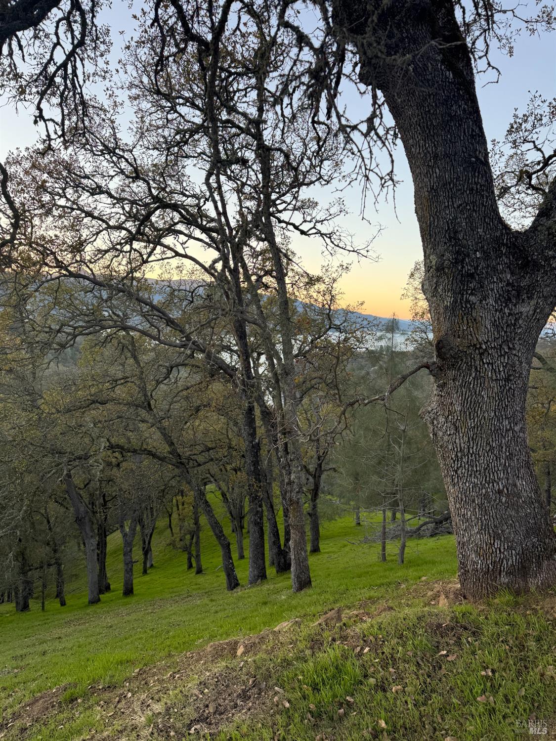 1135 Steele Canyon Road Napa CA 94558