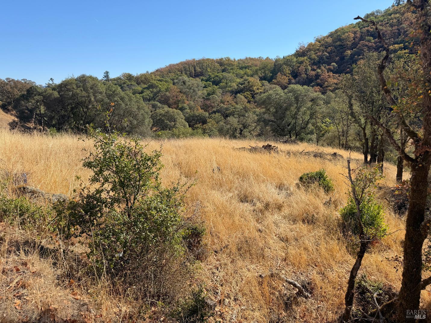 1451 Low Gap Road Ukiah CA 95482