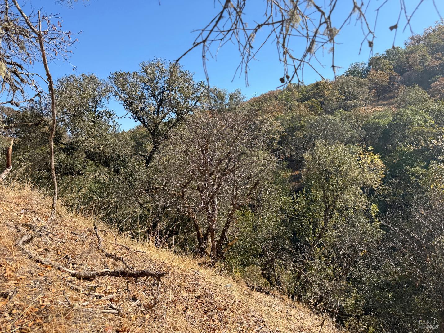 1451 Low Gap Road Ukiah CA 95482