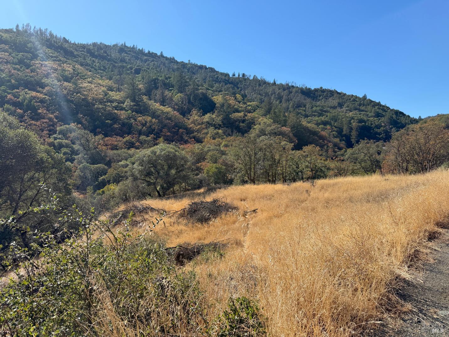 1451 Low Gap Road Ukiah CA 95482