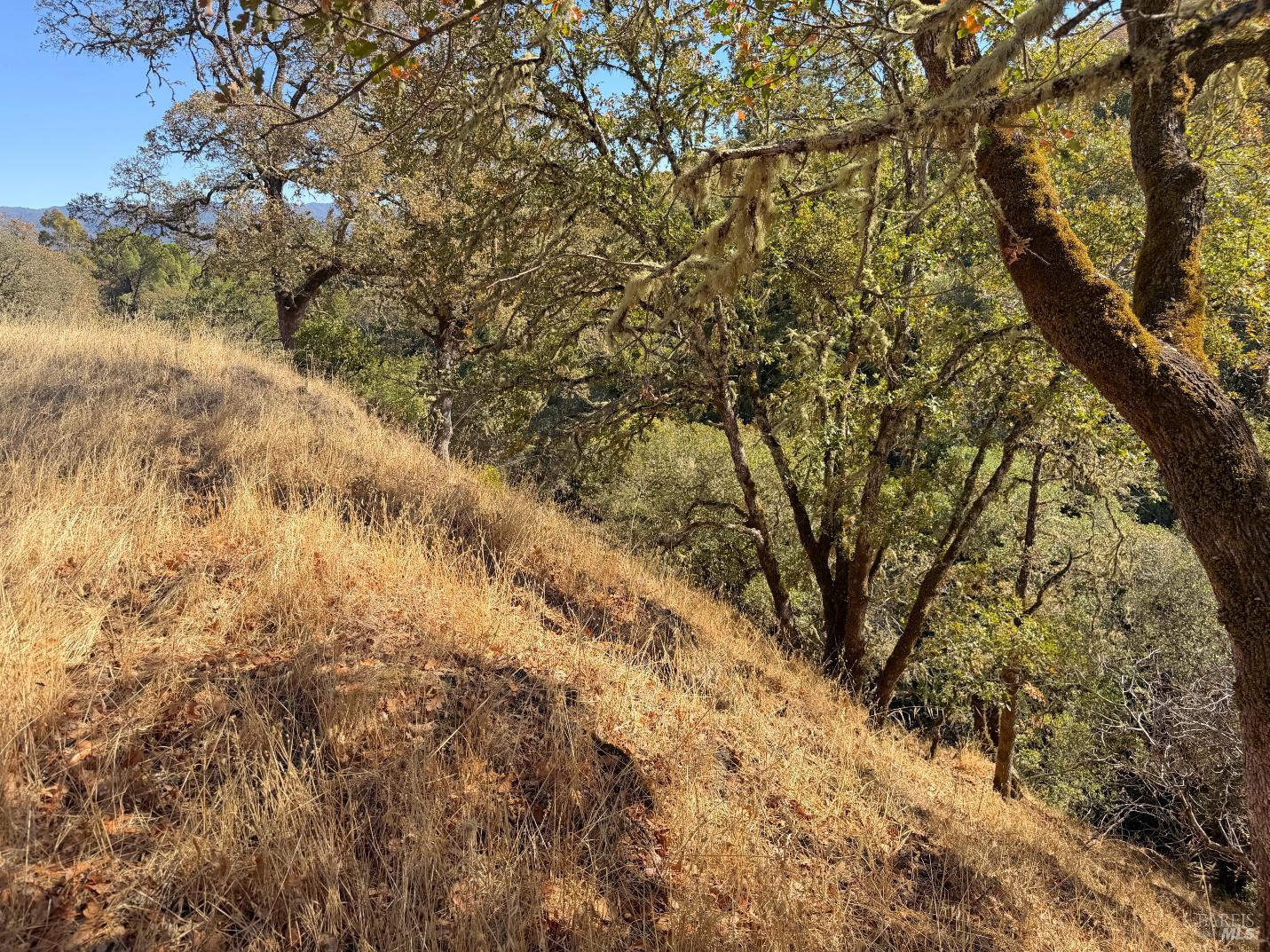 1451 Low Gap Road Ukiah CA 95482