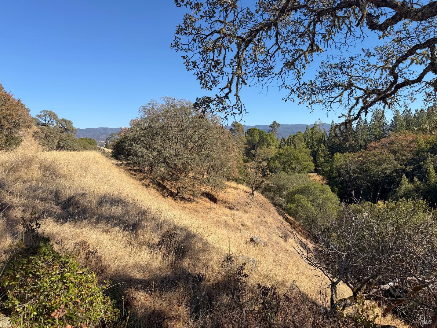 1451 Low Gap Road Ukiah CA 95482