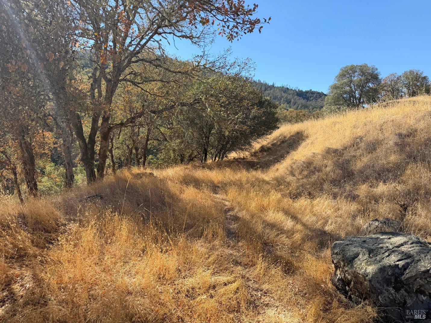 1451 Low Gap Road Ukiah CA 95482