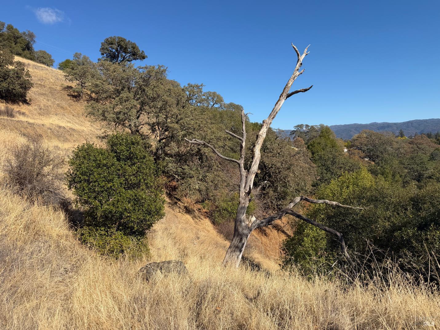 1451 Low Gap Road Ukiah CA 95482