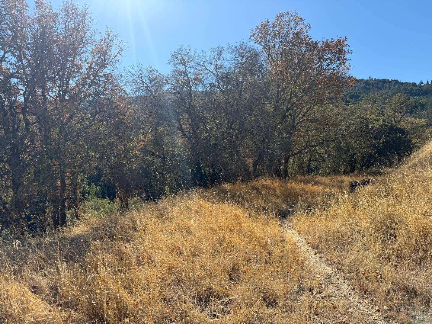 1451 Low Gap Road Ukiah CA 95482