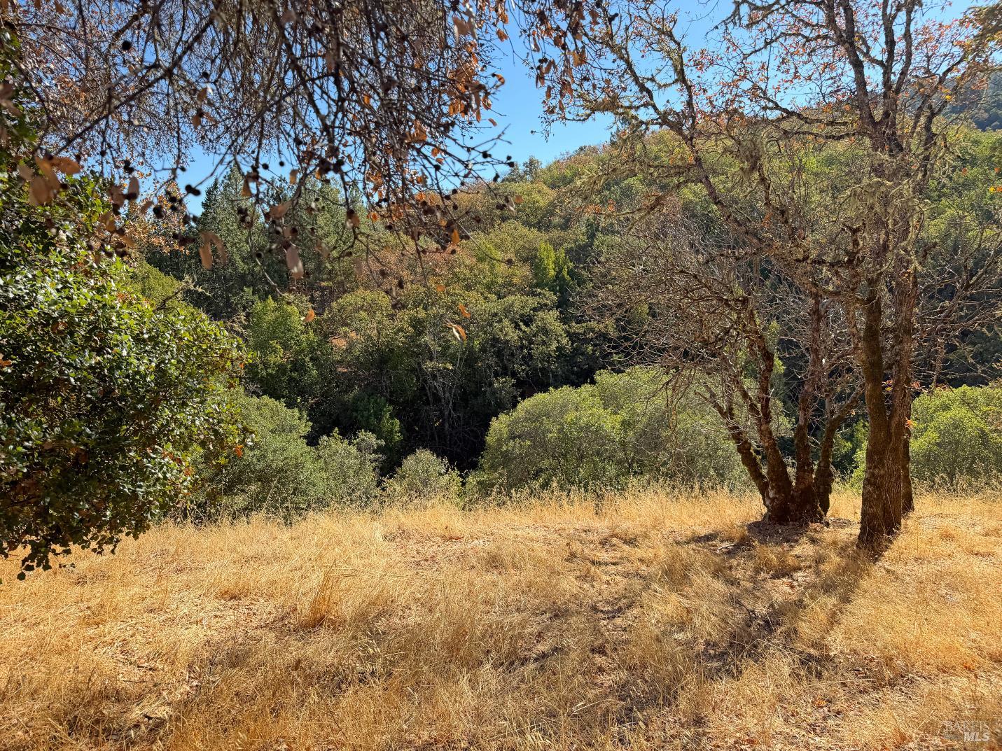 1451 Low Gap Road Ukiah CA 95482