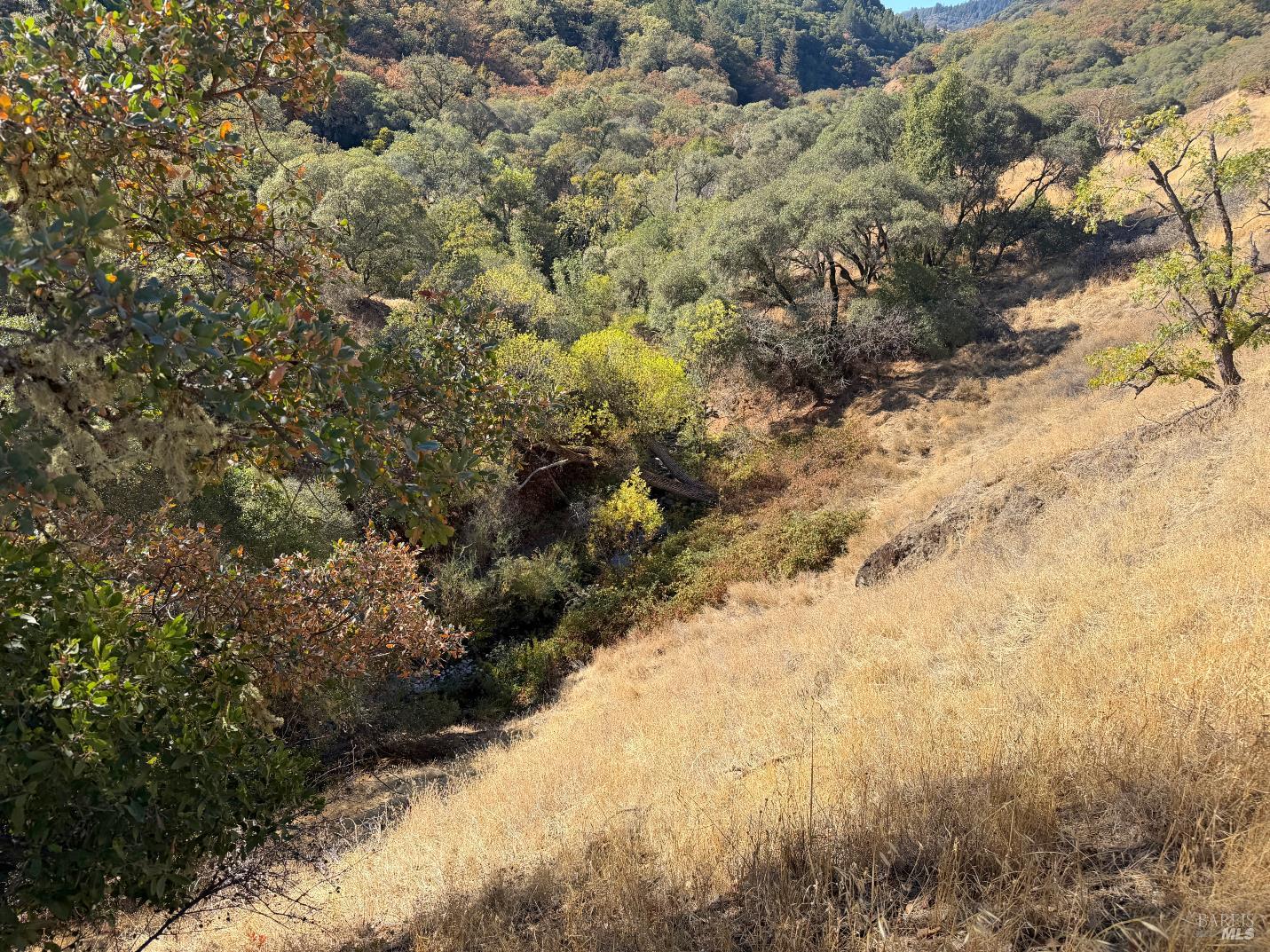 1451 Low Gap Road Ukiah CA 95482