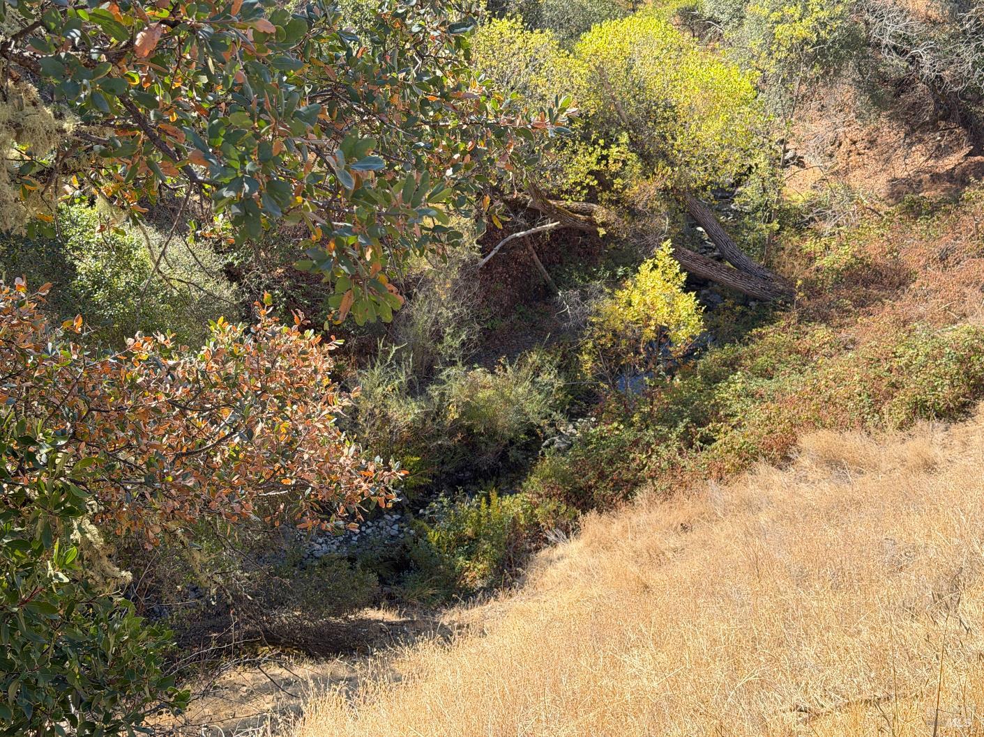 1451 Low Gap Road Ukiah CA 95482