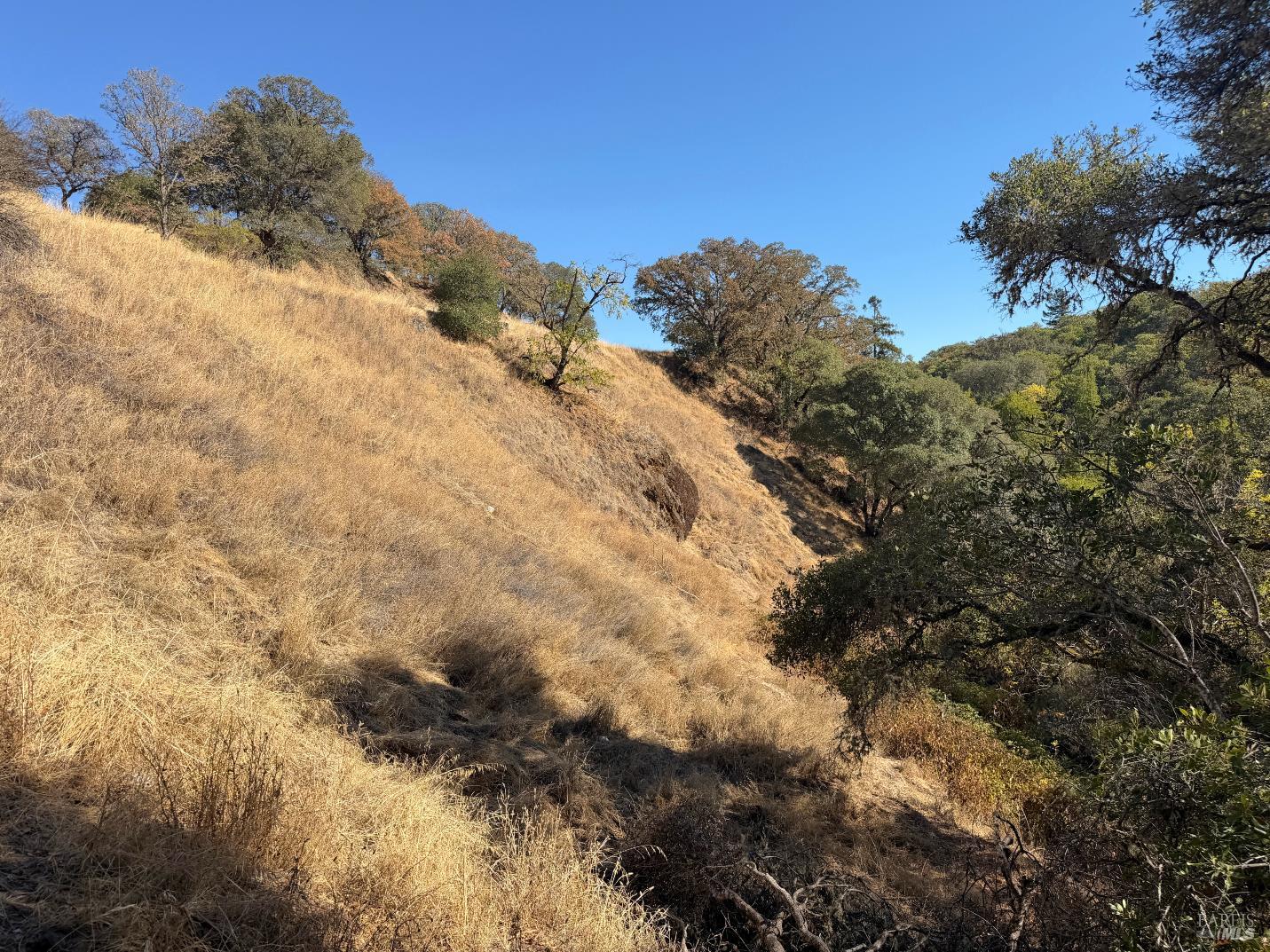 1451 Low Gap Road Ukiah CA 95482