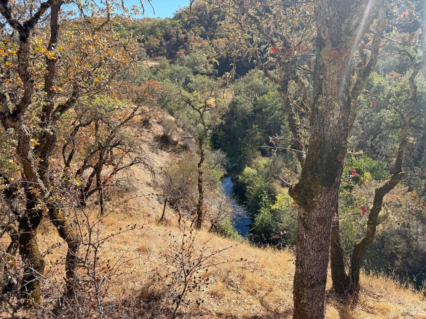 1451 Low Gap Road Ukiah CA 95482