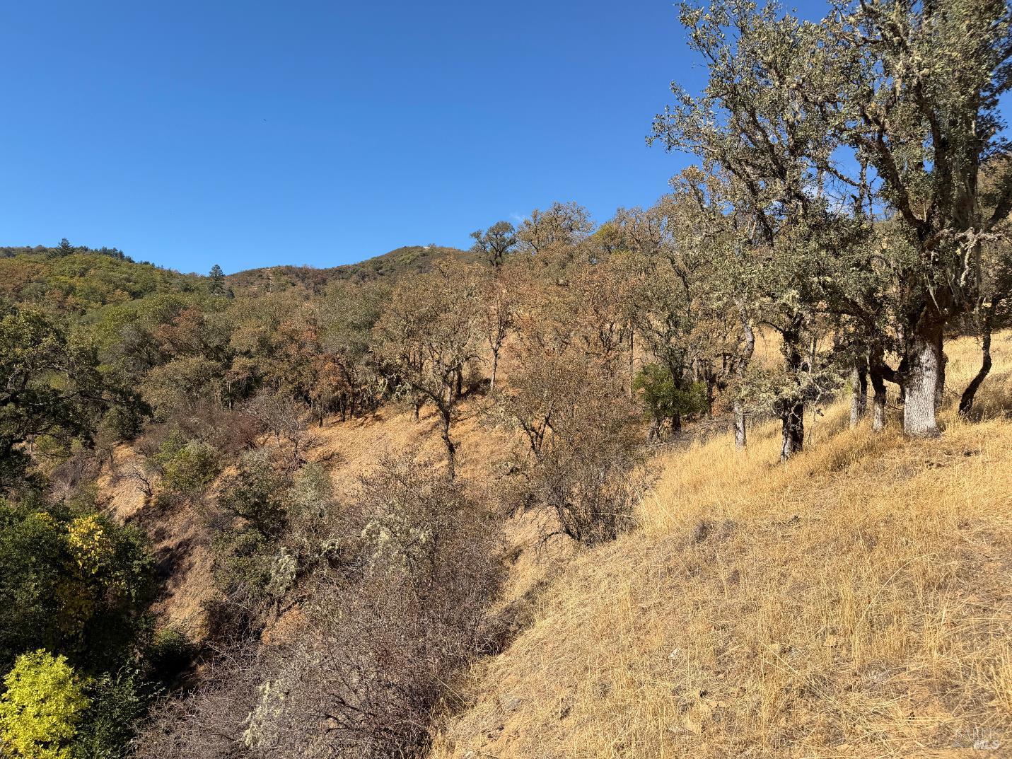 1451 Low Gap Road Ukiah CA 95482