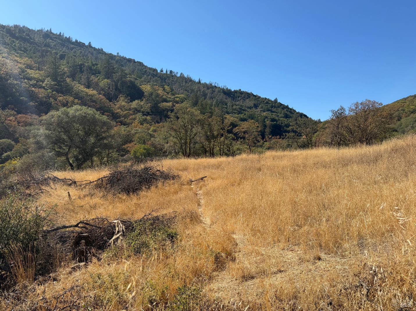 1451 Low Gap Road Ukiah CA 95482