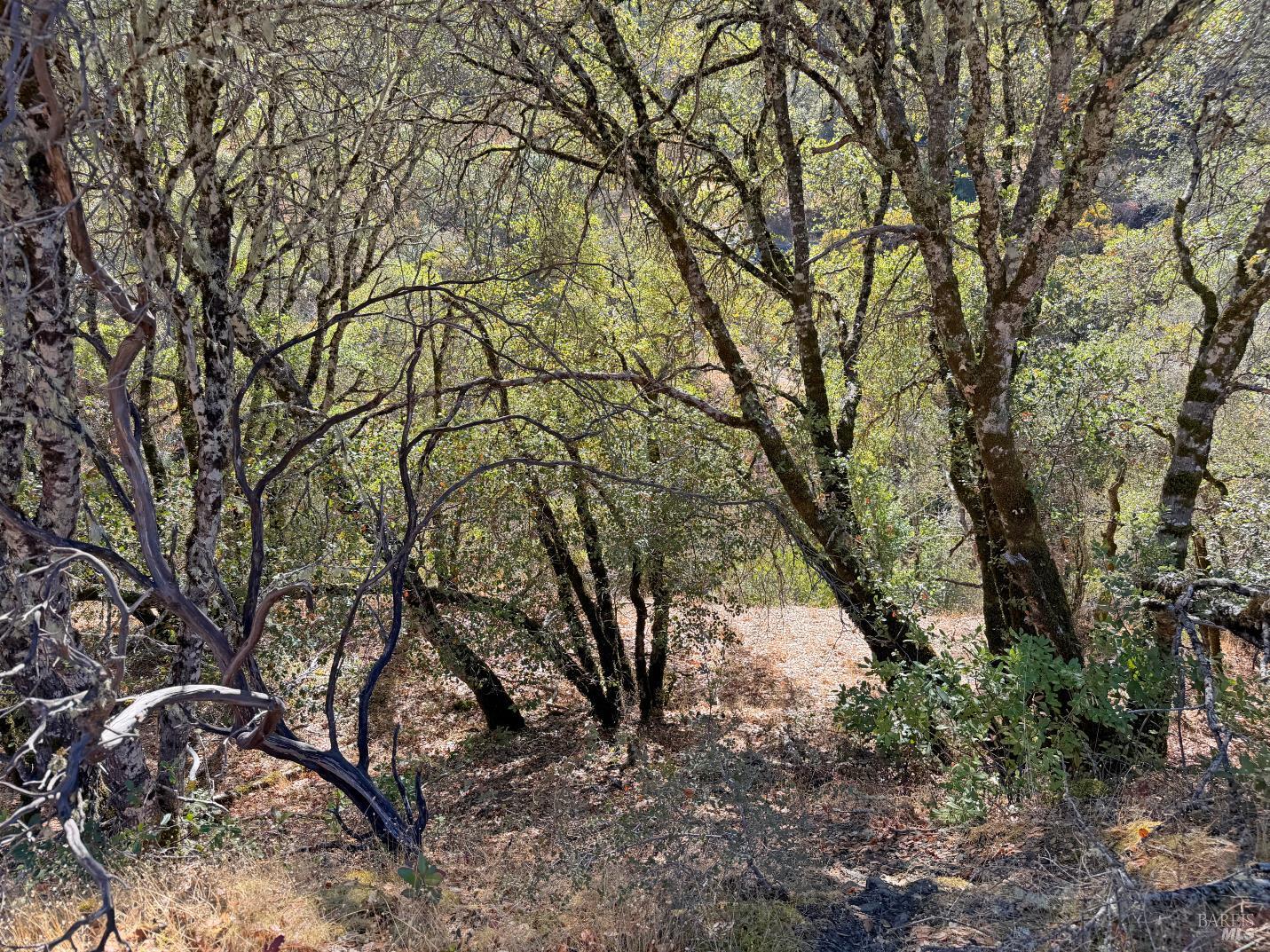 1451 Low Gap Road Ukiah CA 95482