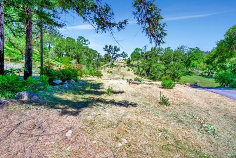 915 Wildwood Trail Santa Rosa CA 95409