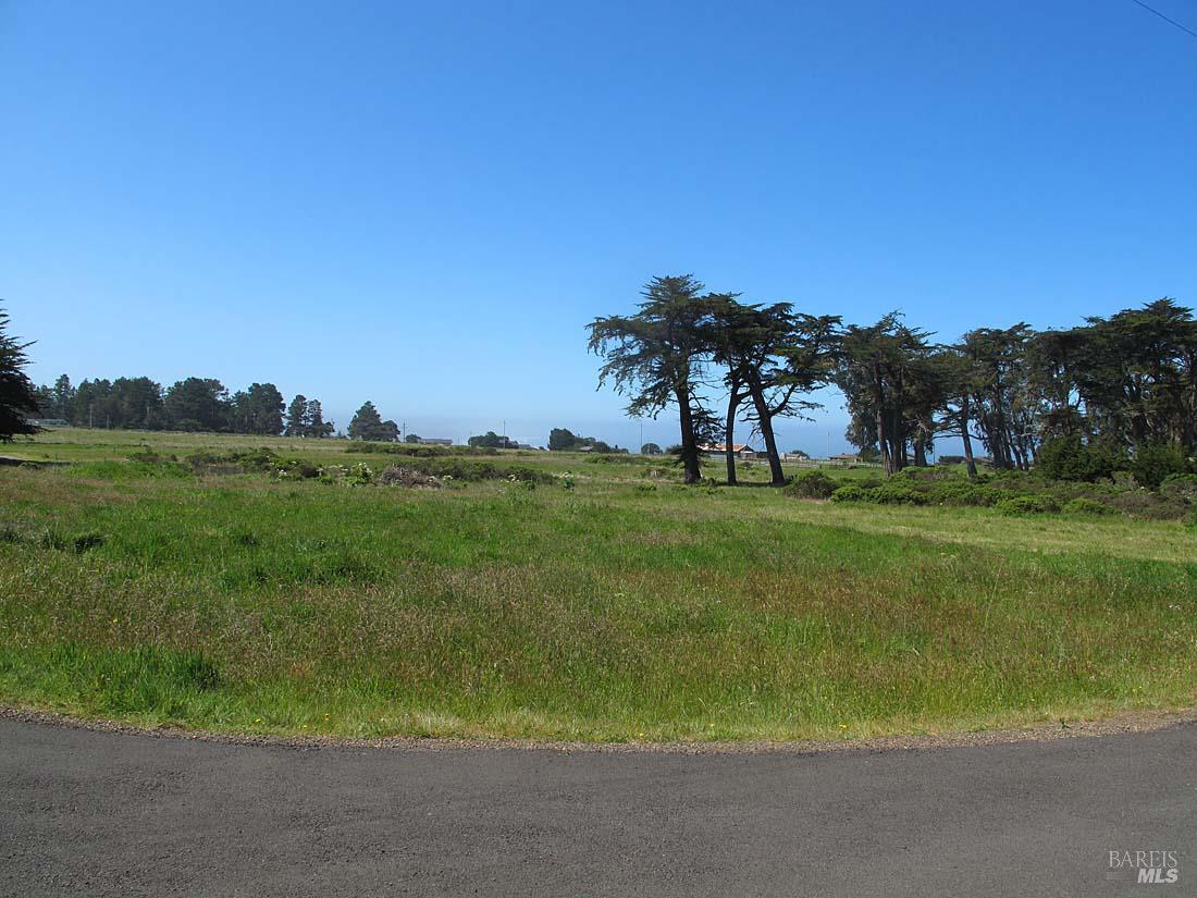 43575 Sea Cypress Drive Manchester CA 95459
