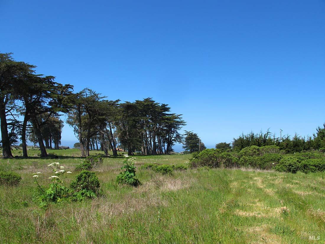 43575 Sea Cypress Drive Manchester CA 95459