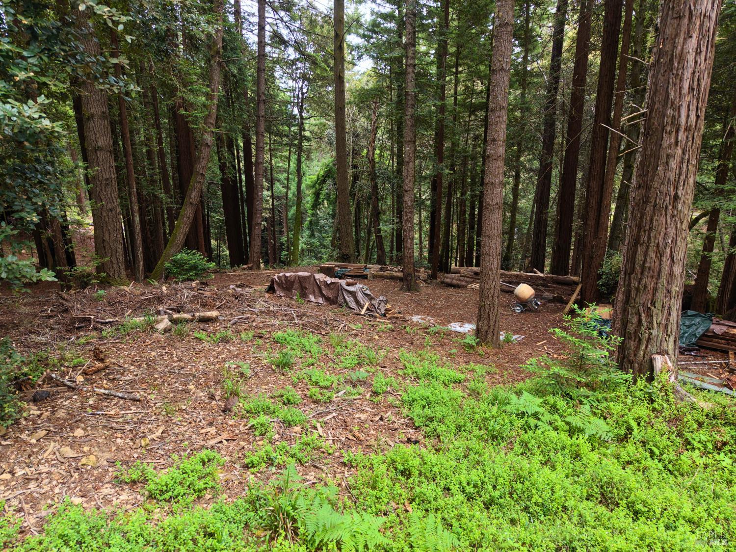 22051 Rust Drive Timber Cove CA 95450