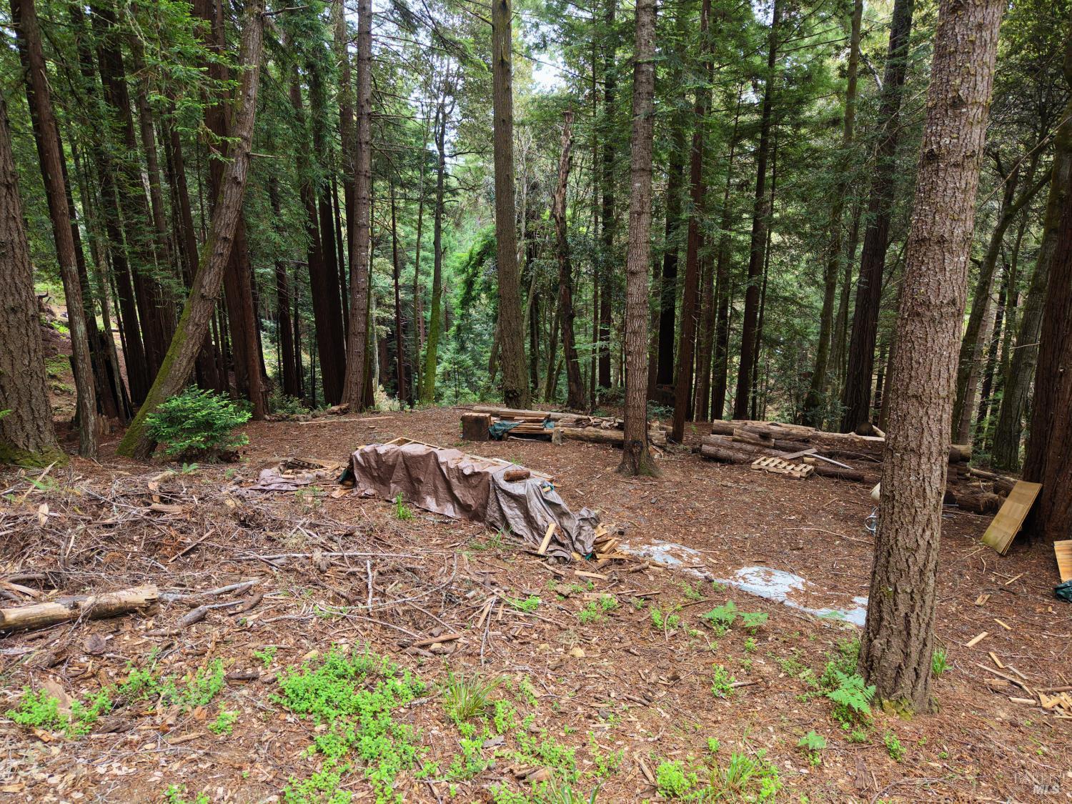 22051 Rust Drive Timber Cove CA 95450