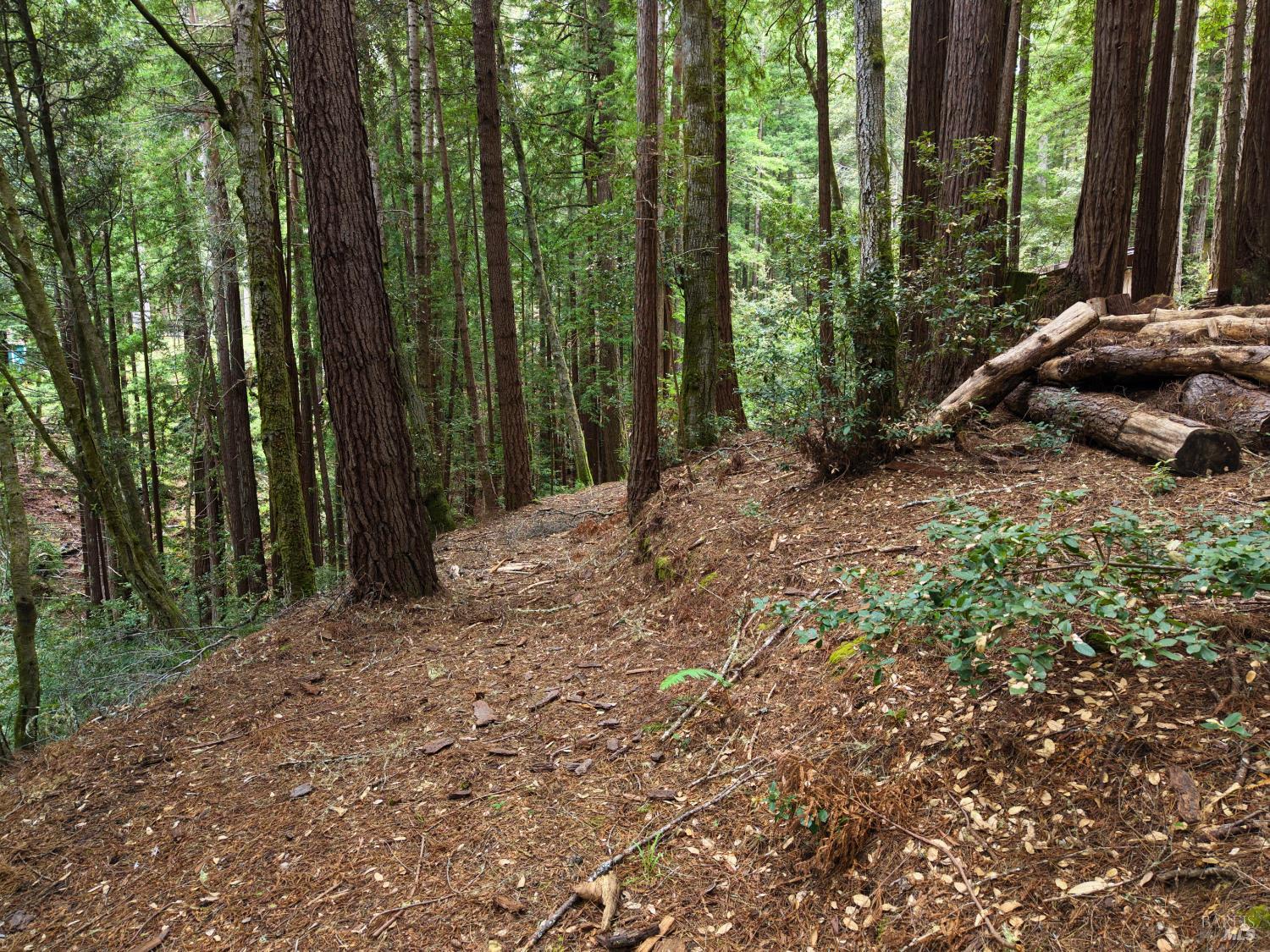 22051 Rust Drive Timber Cove CA 95450