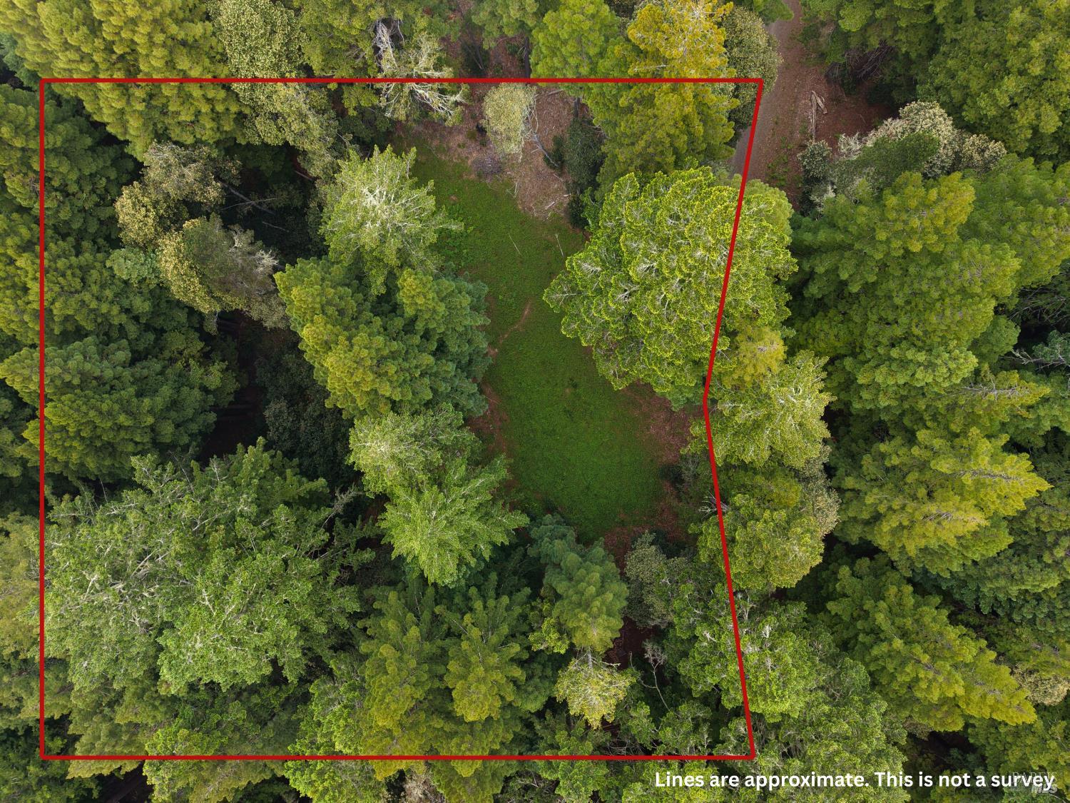 22051 Rust Drive Timber Cove CA 95450