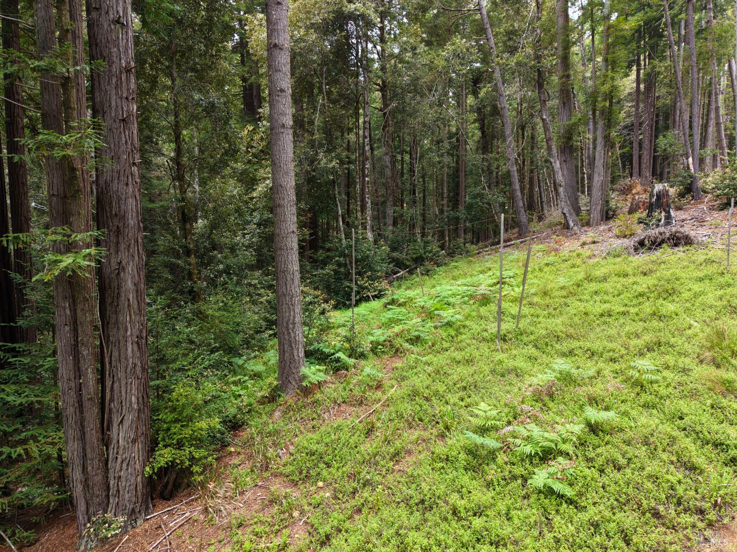22051 Rust Drive Timber Cove CA 95450