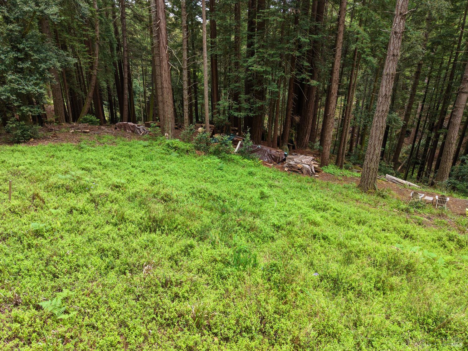22051 Rust Drive Timber Cove CA 95450
