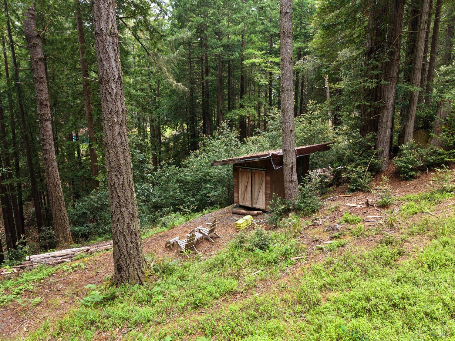 22051 Rust Drive Timber Cove CA 95450
