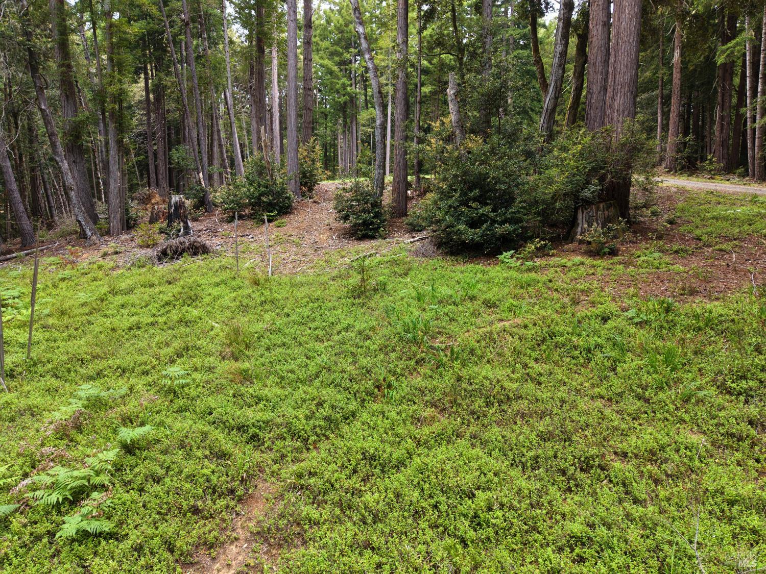 22051 Rust Drive Timber Cove CA 95450