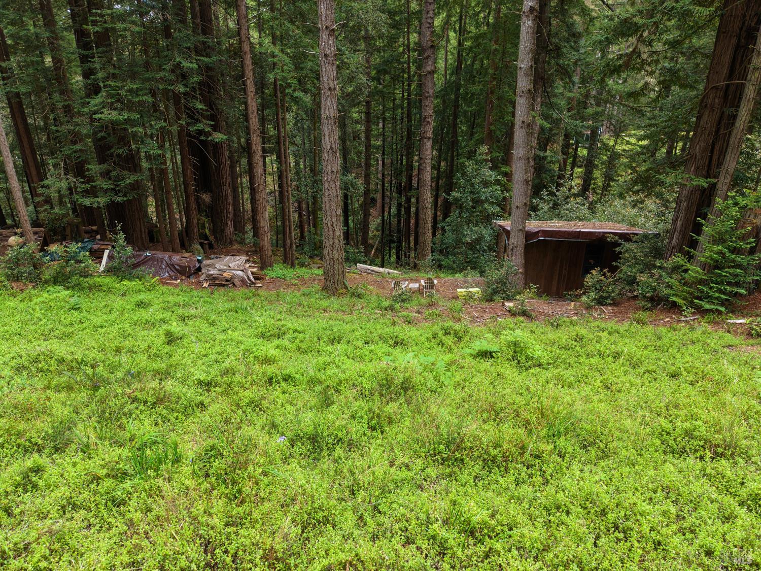 22051 Rust Drive Timber Cove CA 95450