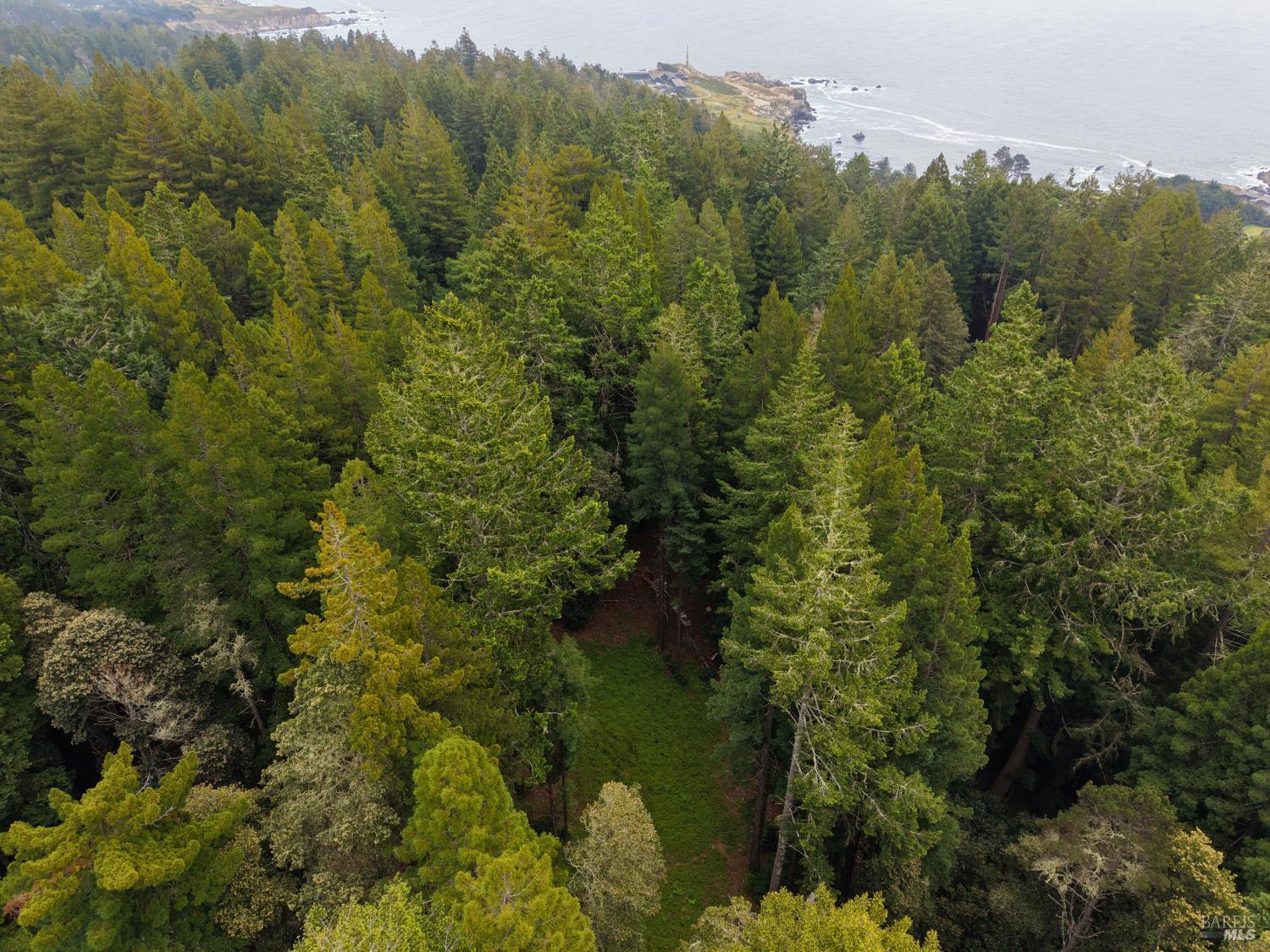 22051 Rust Drive Timber Cove CA 95450