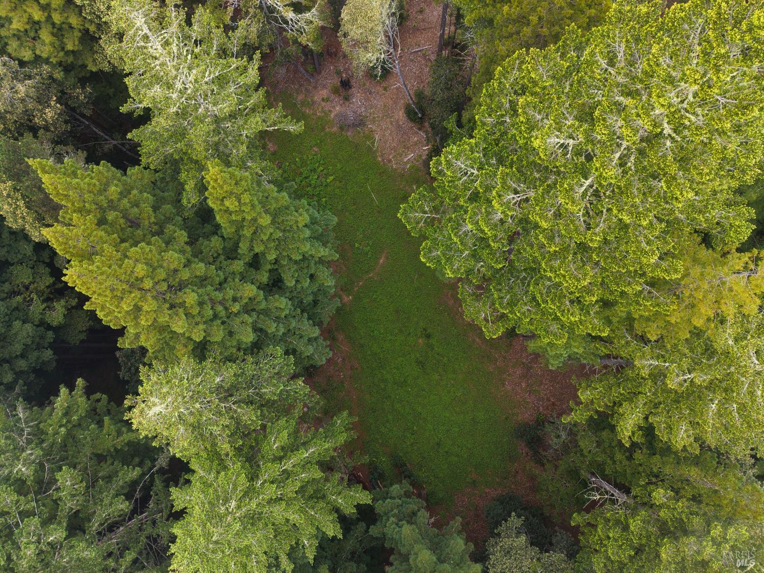 22051 Rust Drive Timber Cove CA 95450