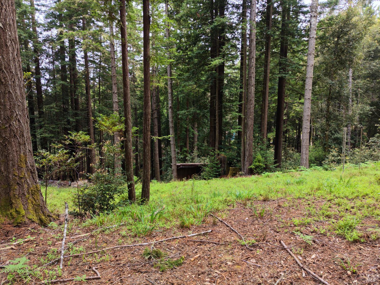 22051 Rust Drive Timber Cove CA 95450